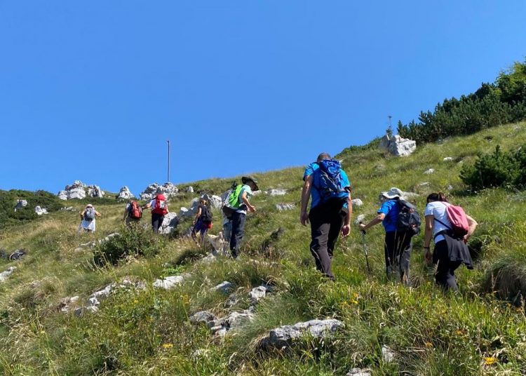 Planinarska nedjelja na Platku