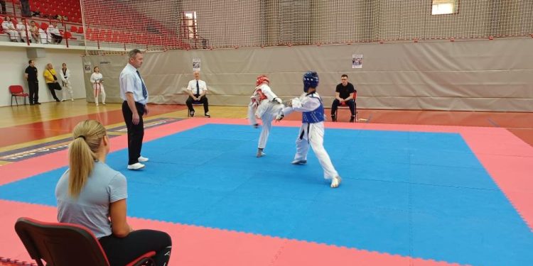 160 natjecatelja na 14. Grobnik kupu u taekwondou