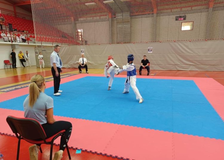 160 natjecatelja na 14. Grobnik kupu u taekwondou