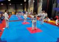 Članovi Karate kluba Krk Croatia četvrti u ukupnom poretku na Prvenstvu Hrvatske!