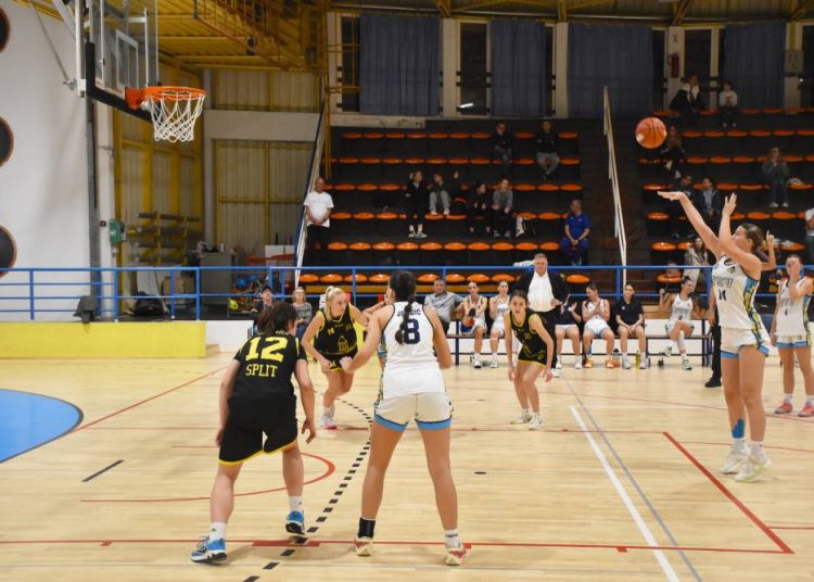 Zlatne kadetkinje i srebrne juniorke: povijesna sezona košarkašica FSV-a